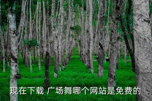 广场舞蹈视频逃爱,悦悦广场舞蹈视频大全