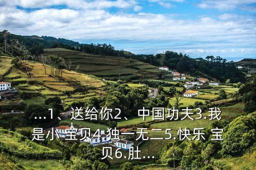 ...1、送给你2、中国功夫3.我是小 宝贝4.独一无二5.快乐 宝贝6.肚...