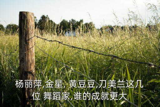 杨丽萍,金星, 黄豆豆,刀美兰这几位 舞蹈家,谁的成就更大