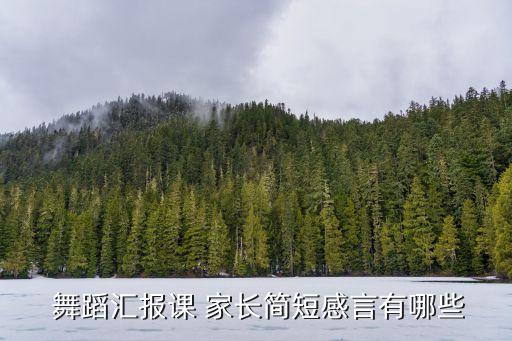  舞蹈汇报课 家长简短感言有哪些