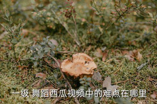  一级 舞蹈西瓜视频中的难点在哪里