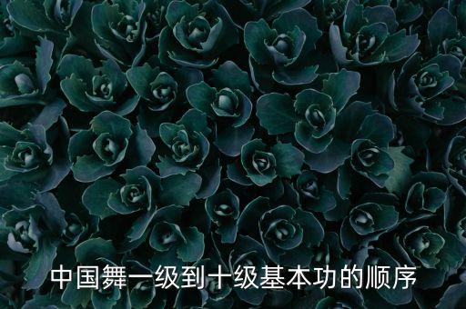 中国舞一级到十级基本功的顺序