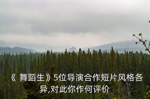 春晓 民族舞蹈,春晓民族舞蹈