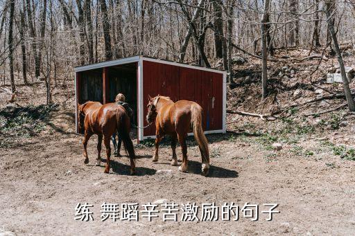 舞蹈房励志语句图片