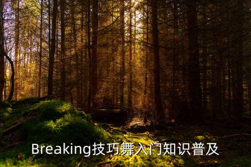Breaking技巧舞入门知识普及