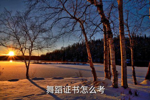 如何成为舞蹈考级点,如何查询舞蹈考级结果