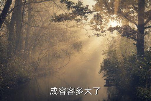 成容容多大了