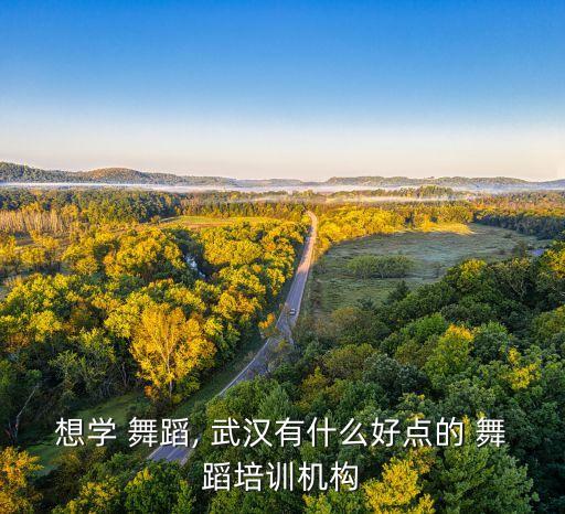 想学 舞蹈, 武汉有什么好点的 舞蹈培训机构
