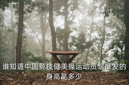 深圳国际体育舞蹈锦标赛,广东省大学生体育舞蹈锦标赛
