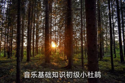 音乐基础知识初级小杜鹃