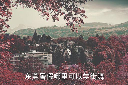  东莞暑假哪里可以学街舞