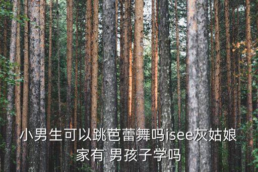 小男生可以跳芭蕾舞吗isee灰姑娘家有 男孩子学吗