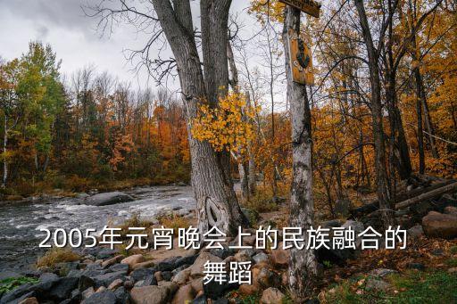 2005年元宵晚会上的民族融合的 舞蹈