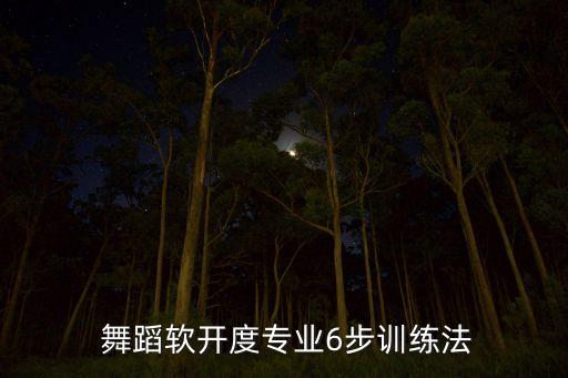 舞蹈甩肩的作用,舞蹈基本功甩肩