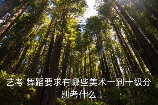 家长问形体舞蹈分几级