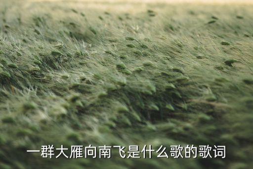 一群大雁向南飞是什么歌的歌词