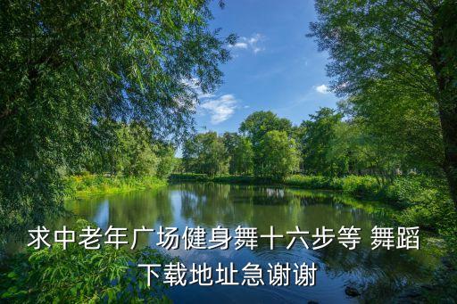 求中老年广场健身舞十六步等 舞蹈 下载地址急谢谢