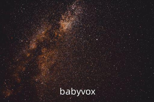  babyvox