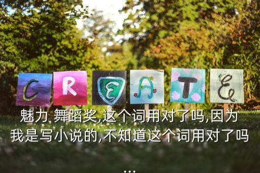 魅力 舞蹈奖,这个词用对了吗,因为我是写小说的,不知道这个词用对了吗...