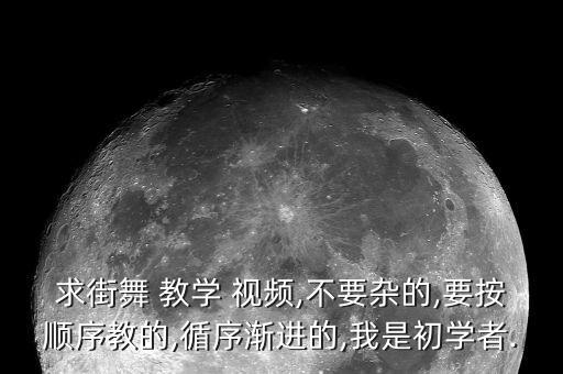 求街舞 教学 视频,不要杂的,要按顺序教的,循序渐进的,我是初学者.