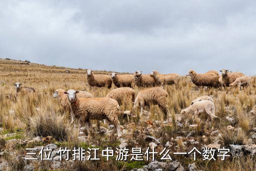 三位 竹排江中游是什么一个数字