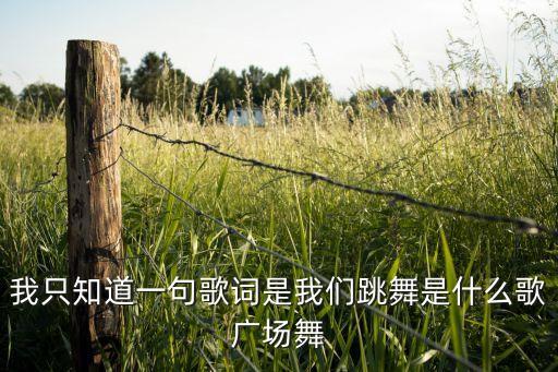 我只知道一句歌词是我们跳舞是什么歌广场舞