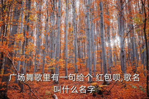 广场舞歌里有一句给个 红包呗,歌名叫什么名字