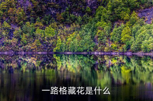 一路格藏花是什么