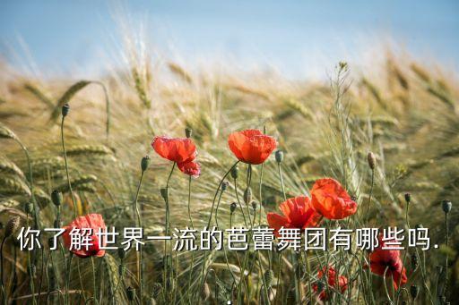 你了解世界一流的芭蕾舞团有哪些吗..