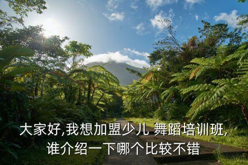 大家好,我想加盟少儿 舞蹈培训班,谁介绍一下哪个比较不错