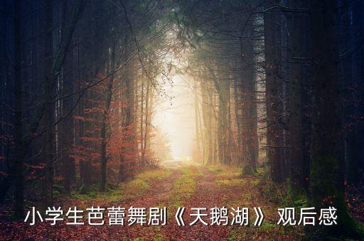 小学生芭蕾舞剧《天鹅湖》 观后感