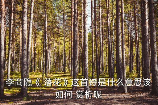 李商隐《 落花》这首诗是什么意思该如何 赏析呢