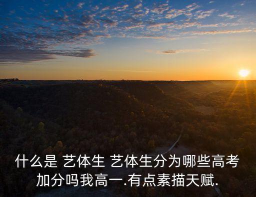 什么是 艺体生 艺体生分为哪些高考加分吗我高一.有点素描天赋.