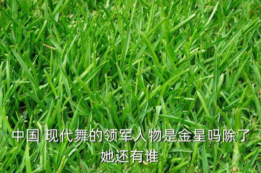 中国 现代舞的领军人物是金星吗除了她还有谁