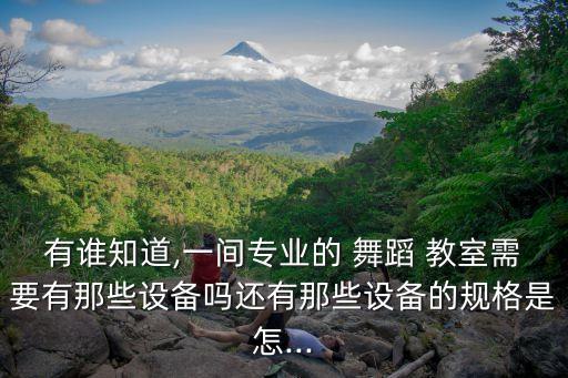 有谁知道,一间专业的 舞蹈 教室需要有那些设备吗还有那些设备的规格是怎...