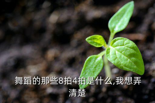 舞蹈气息的节奏,节奏男孩舞蹈完整版