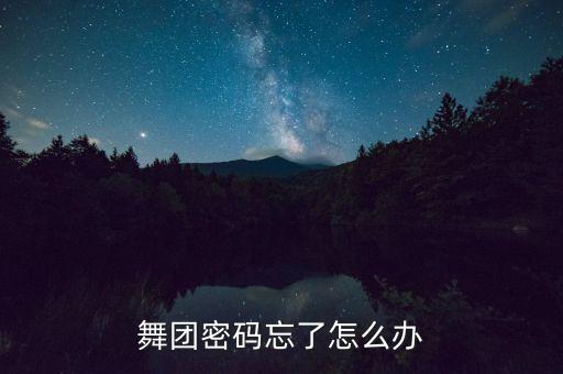 舞团密码忘了怎么办