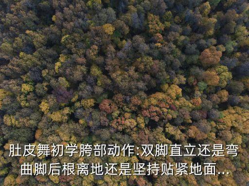 街头摆胯舞蹈,摆胯舞蹈教学视频基础