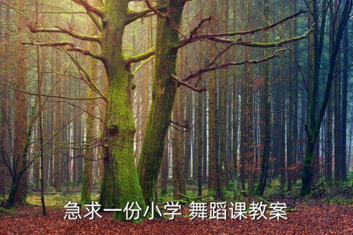 舞蹈花篮腰的要领,舞蹈涮腰动作要领
