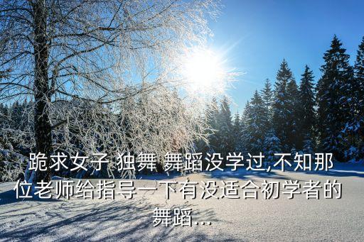 跪求女子 独舞 舞蹈没学过,不知那位老师给指导一下有没适合初学者的 舞蹈...