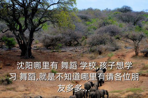  沈阳哪里有 舞蹈 学校,孩子想学习 舞蹈,就是不知道哪里有请各位朋友多多...
