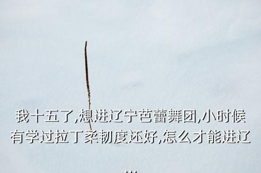 我十五了,想进辽宁芭蕾舞团,小时候有学过拉丁柔韧度还好,怎么才能进辽...