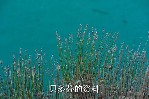 贝多芬的资料