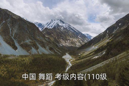 中国 舞蹈 考级内容(110级
