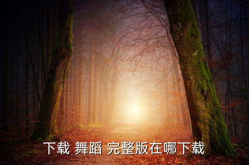 单曲循环舞蹈视频完整版,恋爱循环舞蹈教学视频