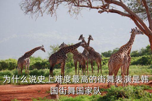 为什么说史上难度最高的街舞表演是韩国街舞国家队