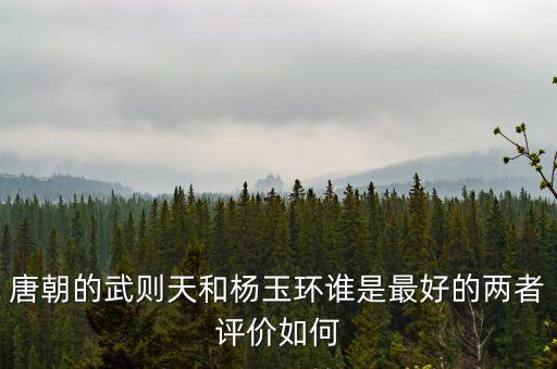 初中乐舞的舞蹈家,超高校级的舞蹈家神乐舞子