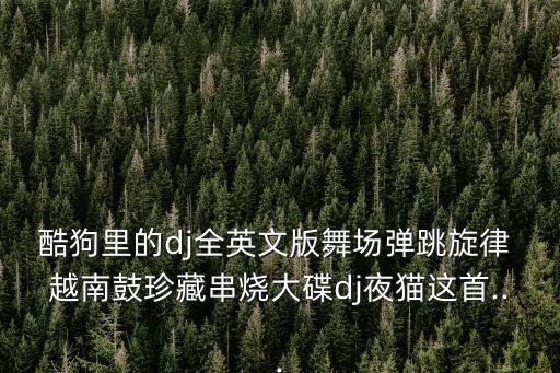 酷狗里的dj全英文版舞场弹跳旋律 越南鼓珍藏串烧大碟dj夜猫这首...