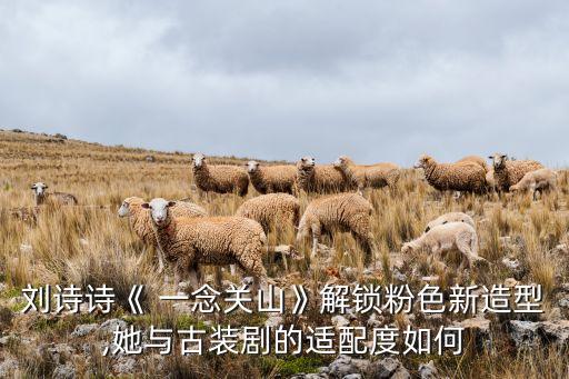 刘诗诗《 一念关山》解锁粉色新造型,她与古装剧的适配度如何