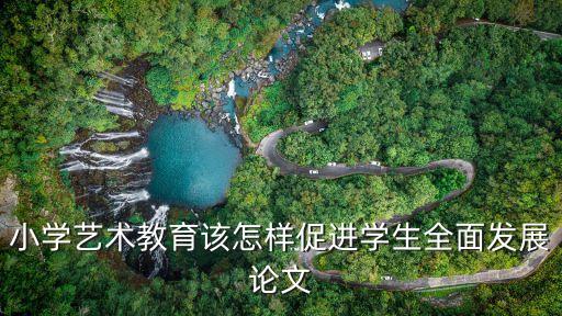 小学艺术教育该怎样促进学生全面发展论文